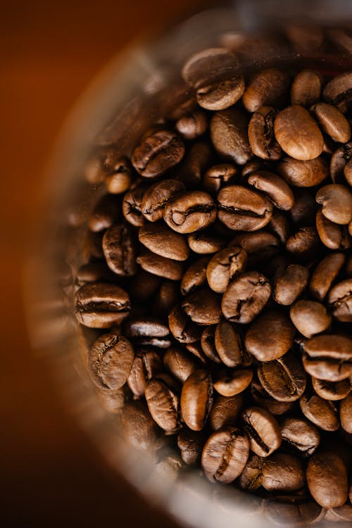 Roasted Coffee Beans in Close Up Photography