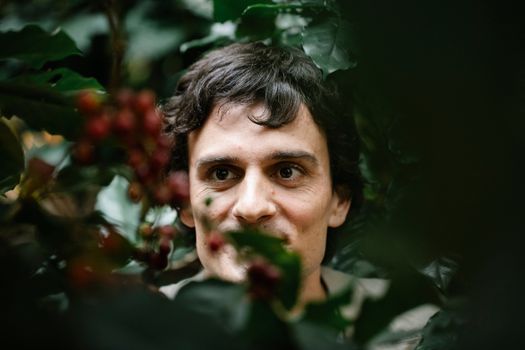 Portrait of a Man