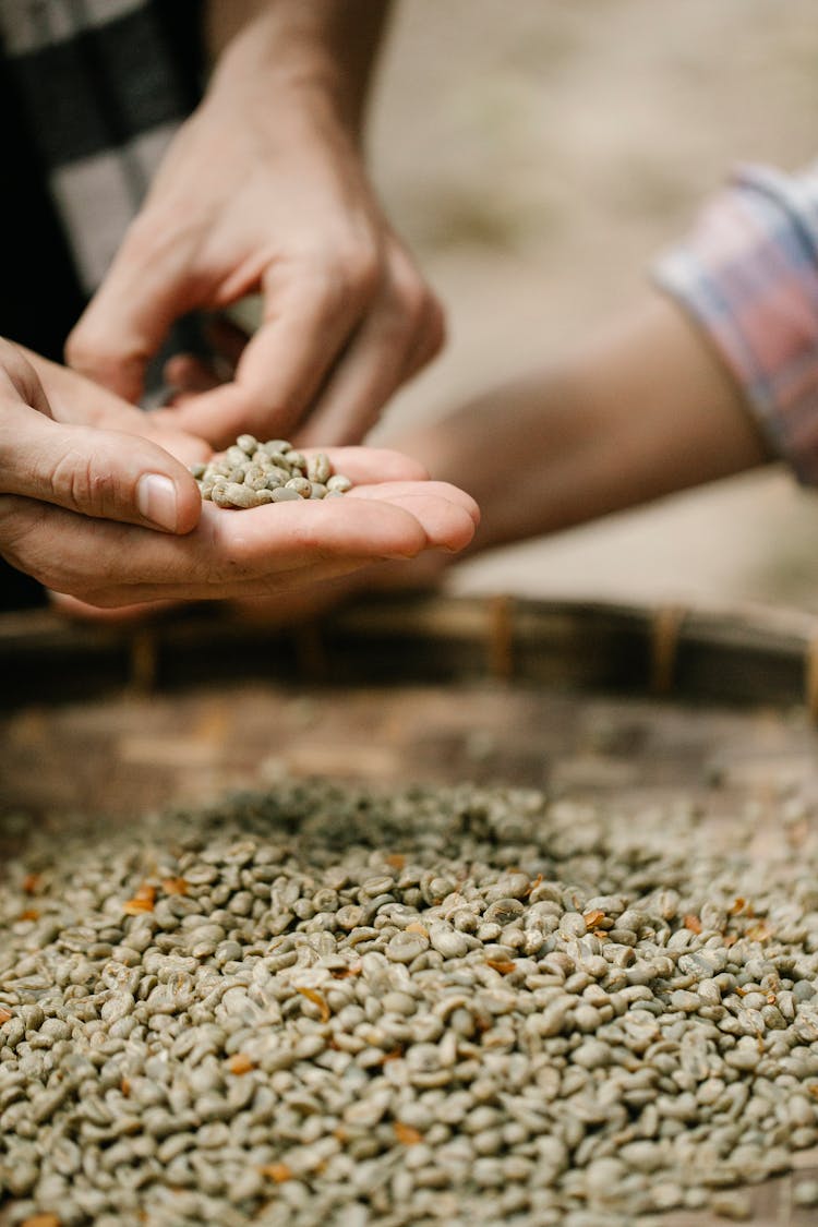 Unrecognizable Man With Handful Of Coffee Beans