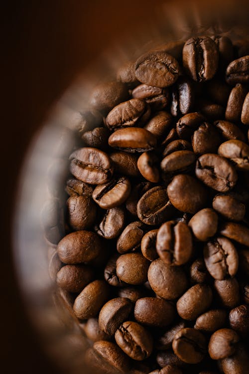 Roasted coffee beans against blurred background