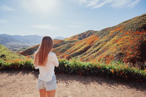 superbloom, 丘陵, 女人 的 免费素材图片