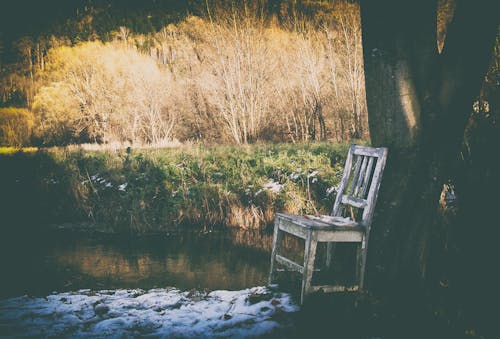 Free stock photo of abandoned, armchair, brown