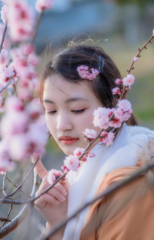 Young Girl Standing Between Branches of Cherry Blossom 