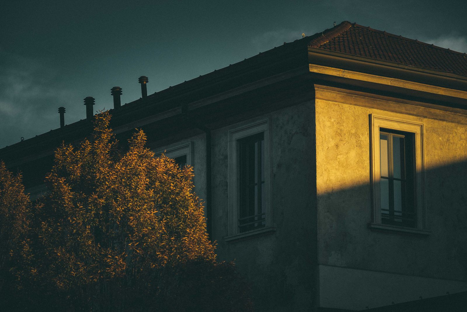 Shabby concrete residential house with windows located on street with lush tree and sunlight in suburb area in evening time