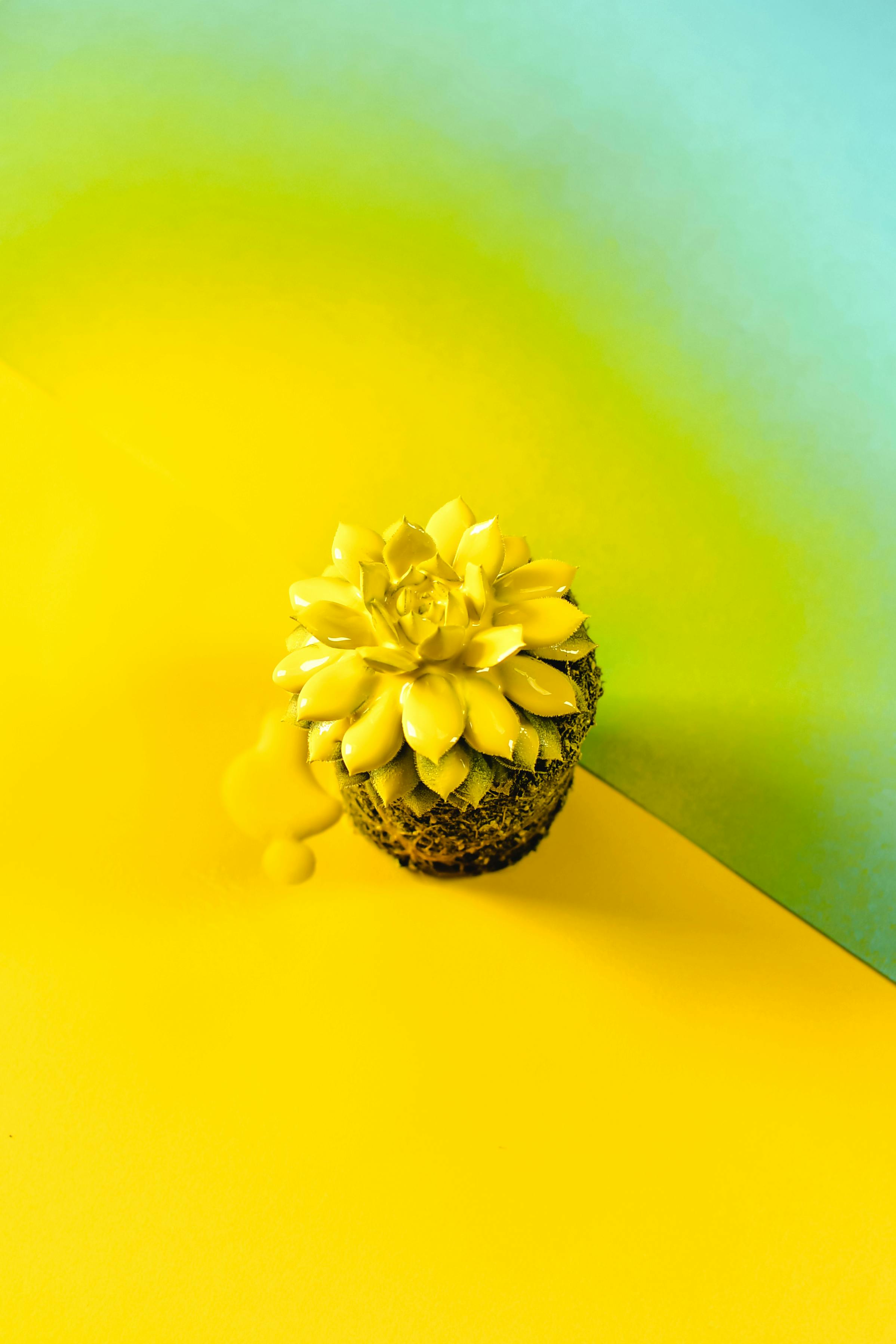 CloseUp Photo of Delicate Yellow Flowers in a Wine Glass · Free Stock