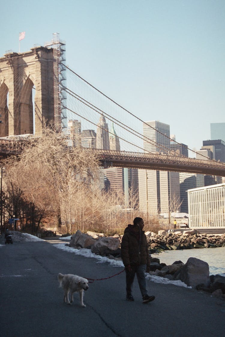 Man Walking His Dog In New York City In Winter