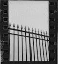 Film Photograph of a Fence