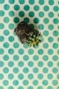 Green and Brown Pineapple Fruit