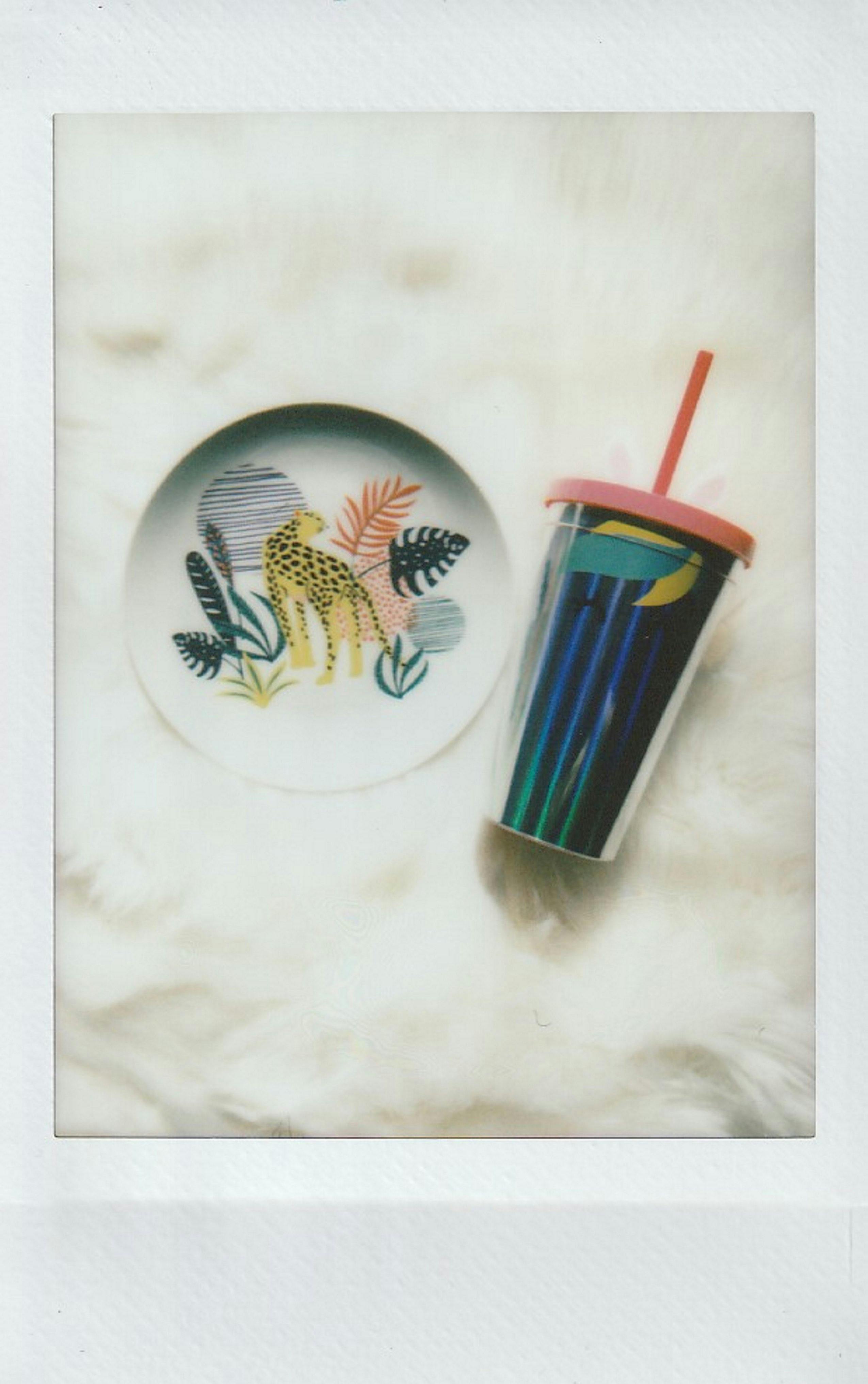 Vibrant still life of a ceramic plate with leopard design and a colorful plastic tumbler on white background.