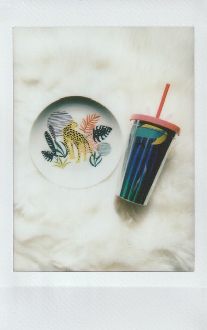 Vibrant still life of a ceramic plate with leopard design and a colorful plastic tumbler on white background.
