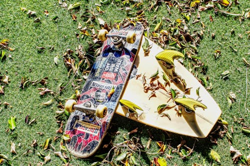スケートボード, パーク, 乾いた葉の無料の写真素材