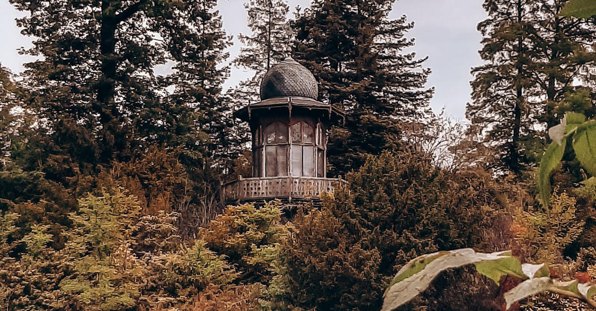 What does fodder mean in darling in the France