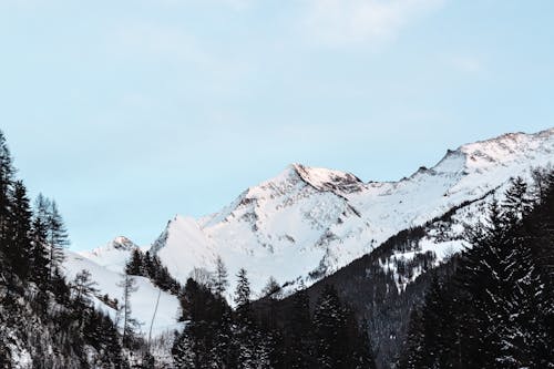 Kostenlos Schneebedeckter Berg Mit Schwarzen Bäumen Unter Blauem Himmel Zur Tageszeit Stock-Foto
