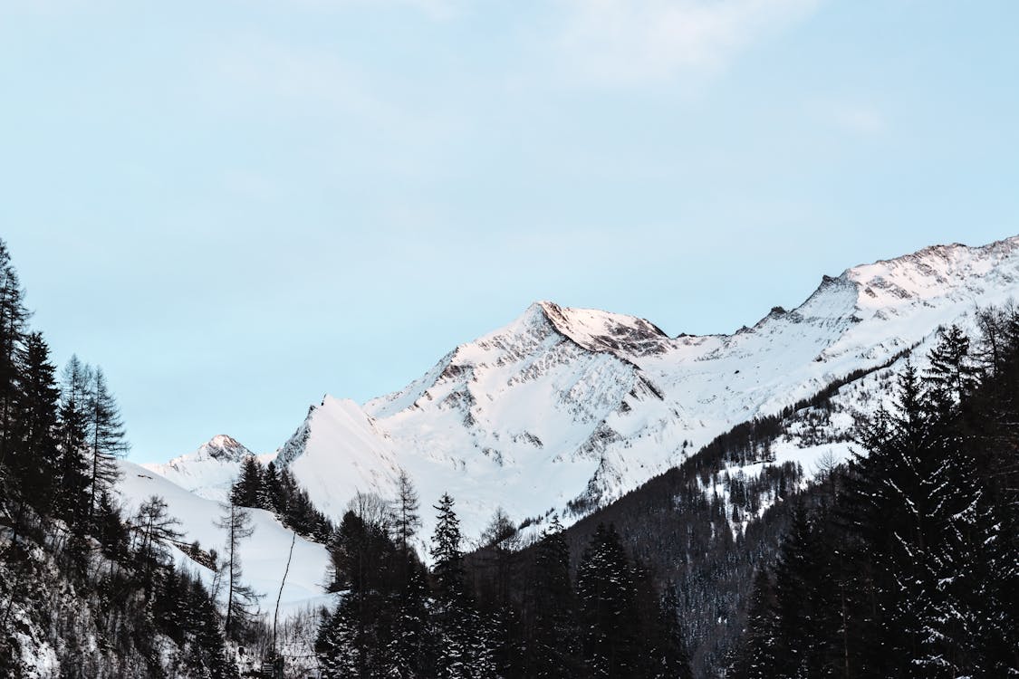 白天白雪皚皚的山與黑樹在藍藍的天空下