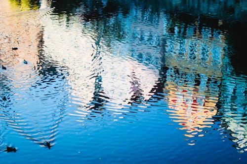Free stock photo of mirroring, river, water Stock Photo