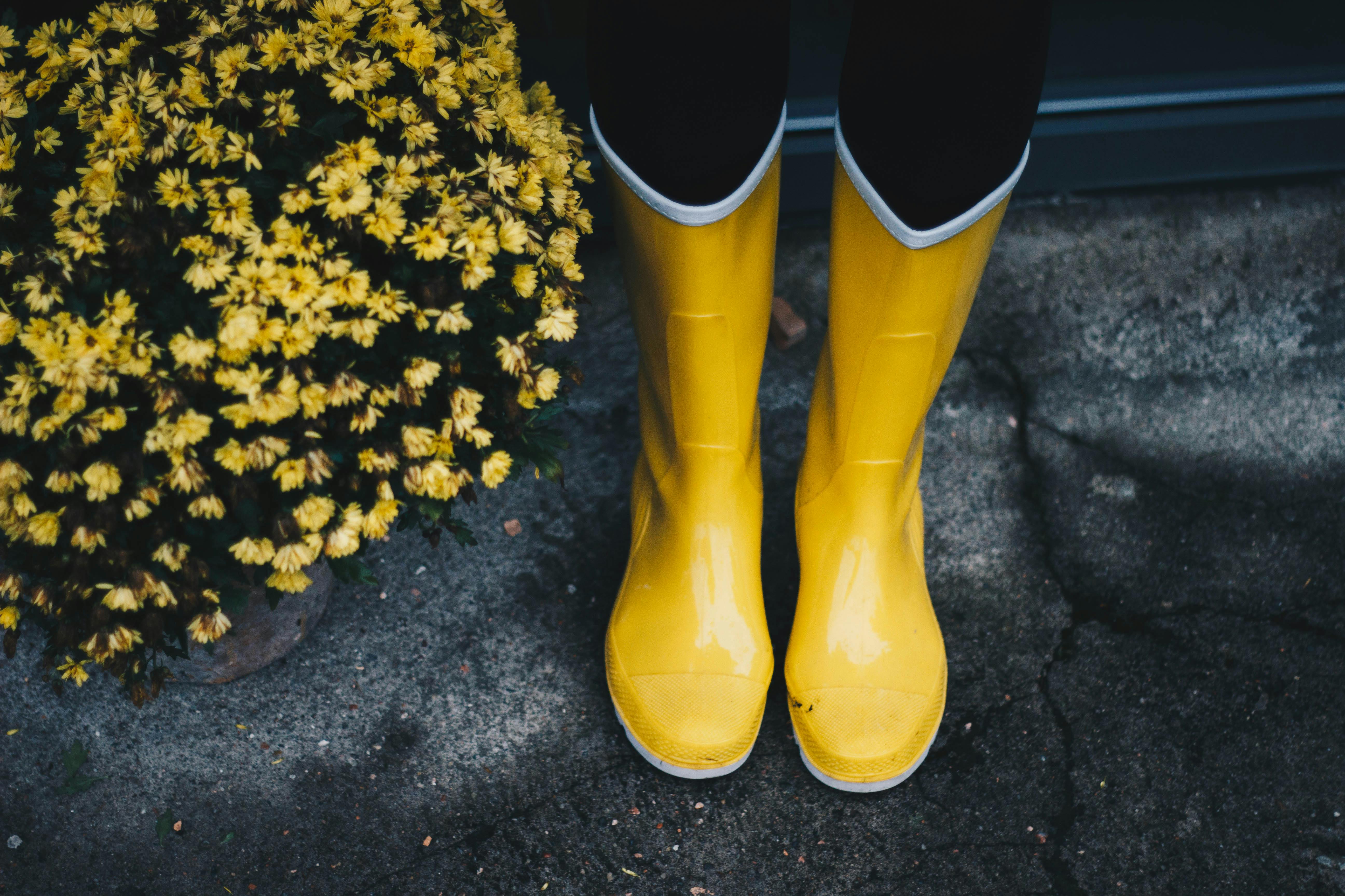 photo of yellow boots near flowers