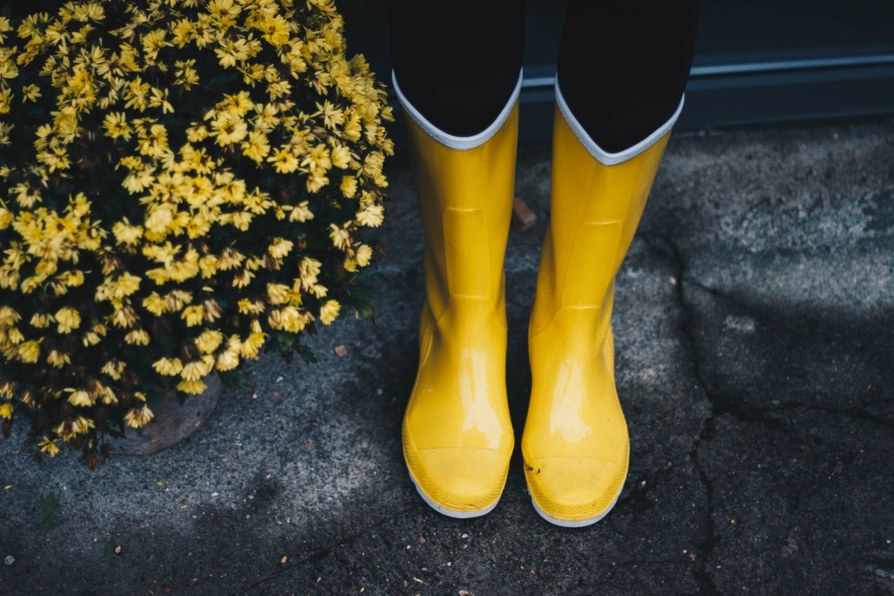 yellow rain boots beside yellow flowers