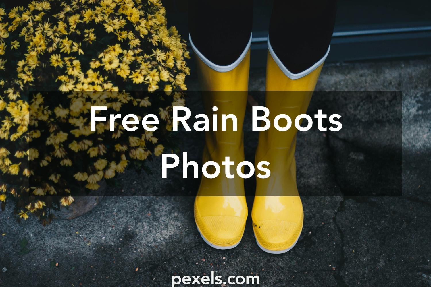 1000+ Beautiful Rain Boots Photos · Pexels · Free Stock Photos