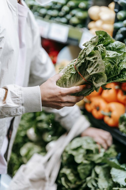 Crop unrecognizable buyer with fresh lettuce in hand standing near stall with greens and vegetables during grocery shopping in supermarket
