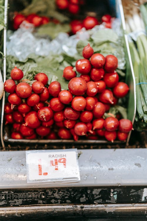 Bunch of tasty red radish with green leaves placed in stall with price in light grocery store with fresh products