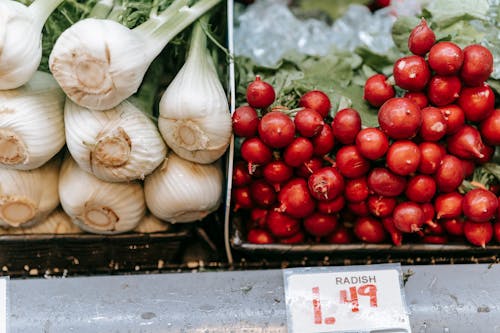 Radish with fennel in supermarket