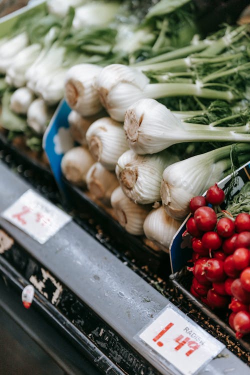 Free Pile of fresh fennel with green stalks placed near red radish on stall with prices in modern grocery store with vegetables Stock Photo