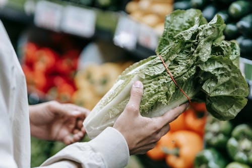 Unrecognizable customer with fresh lettuce