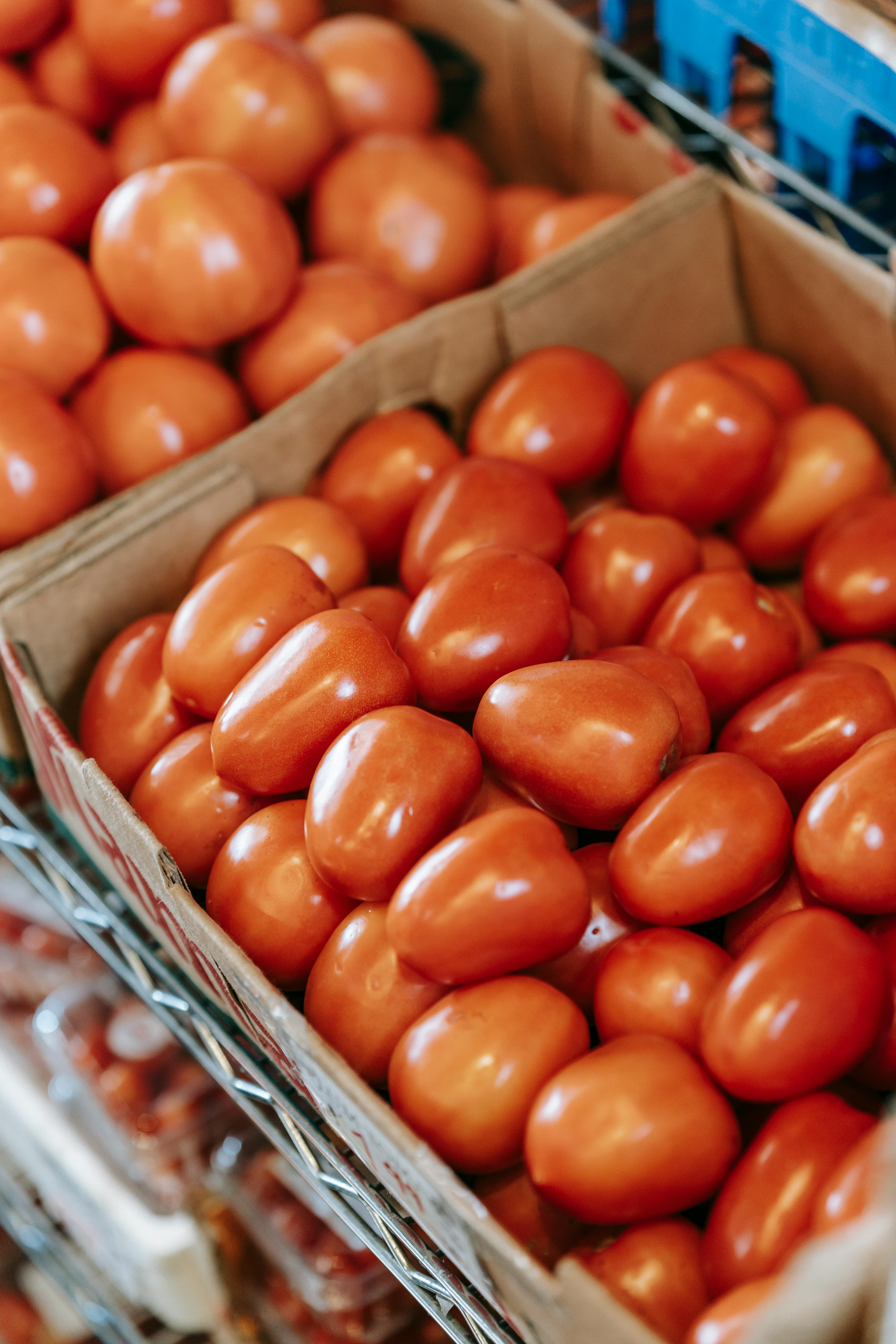 What color tomato is the healthiest?