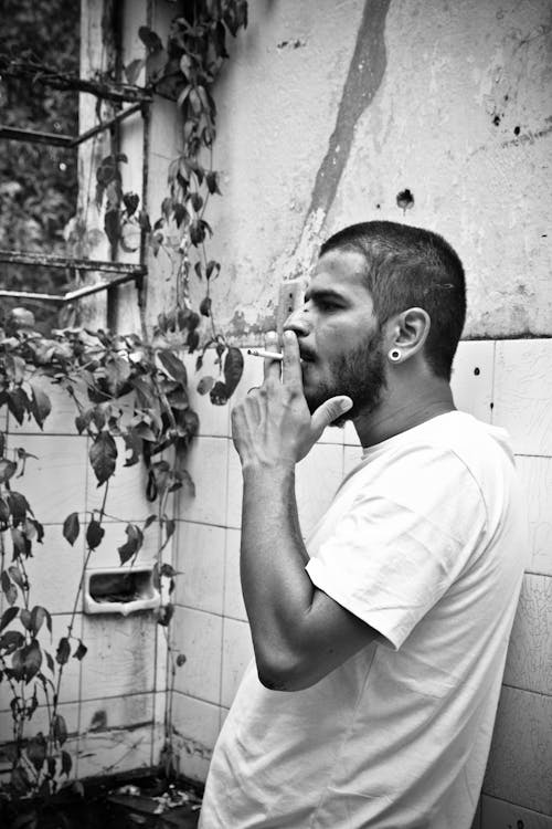 그루터기, 남자, 담배의 무료 스톡 사진