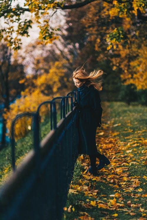 Gratis lagerfoto af blade, blond hår, dagslys