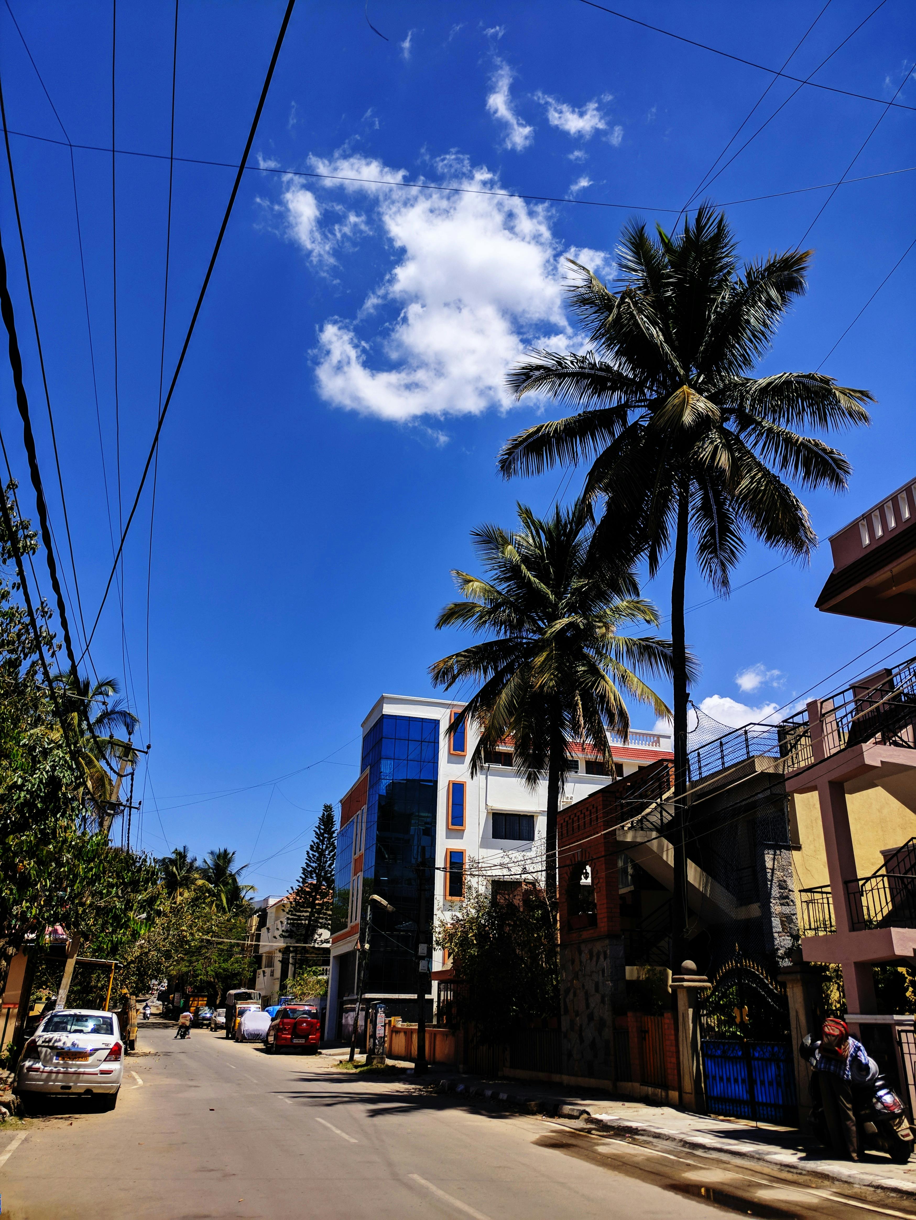 Personne travaillant sur l'optimisation SEO d'un blog