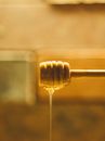 Traditional wooden dipper spoon with natural liquid appetizing honey in farm in sunny morning