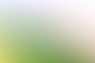 Bright multicolored lights on gradient background