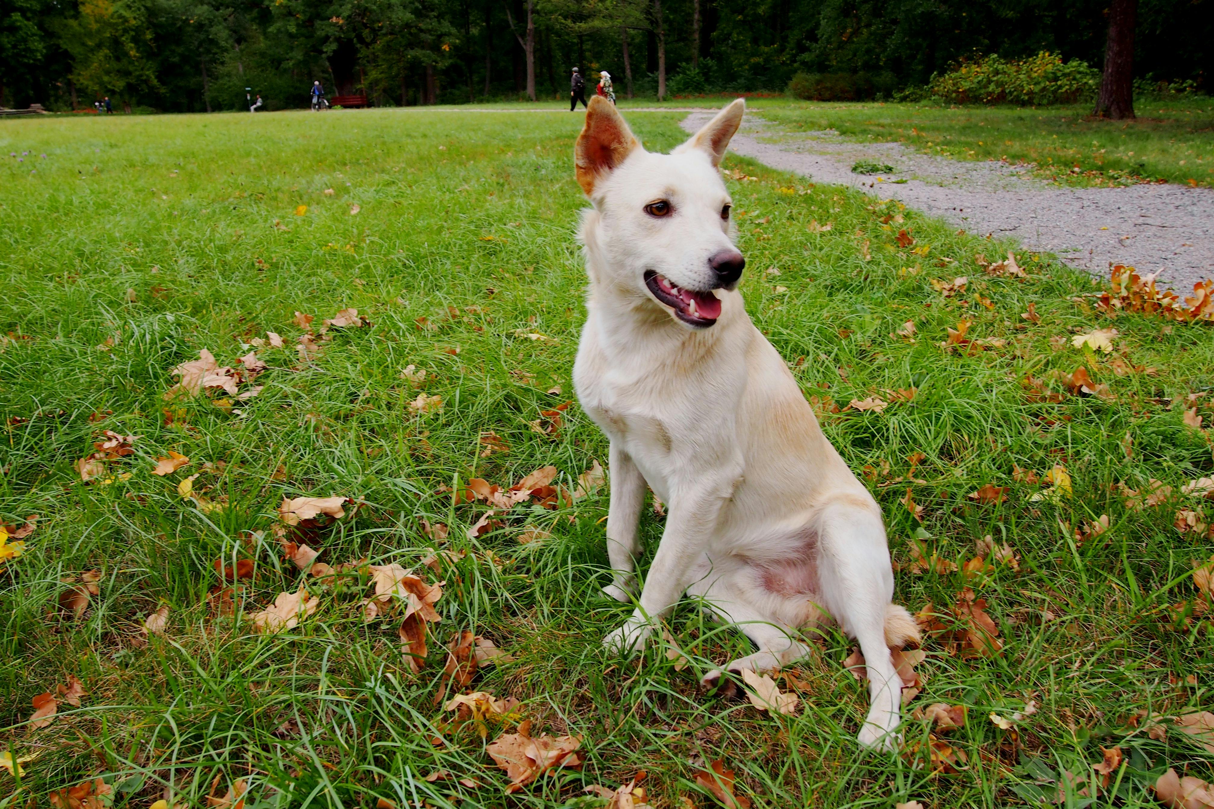انعكاسات ضوئية في الغلاف الجوي
