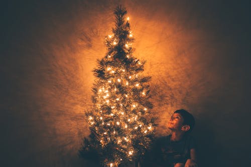 Foto d'estoc gratuïta de amb gas, arbre, arbre de Nadal