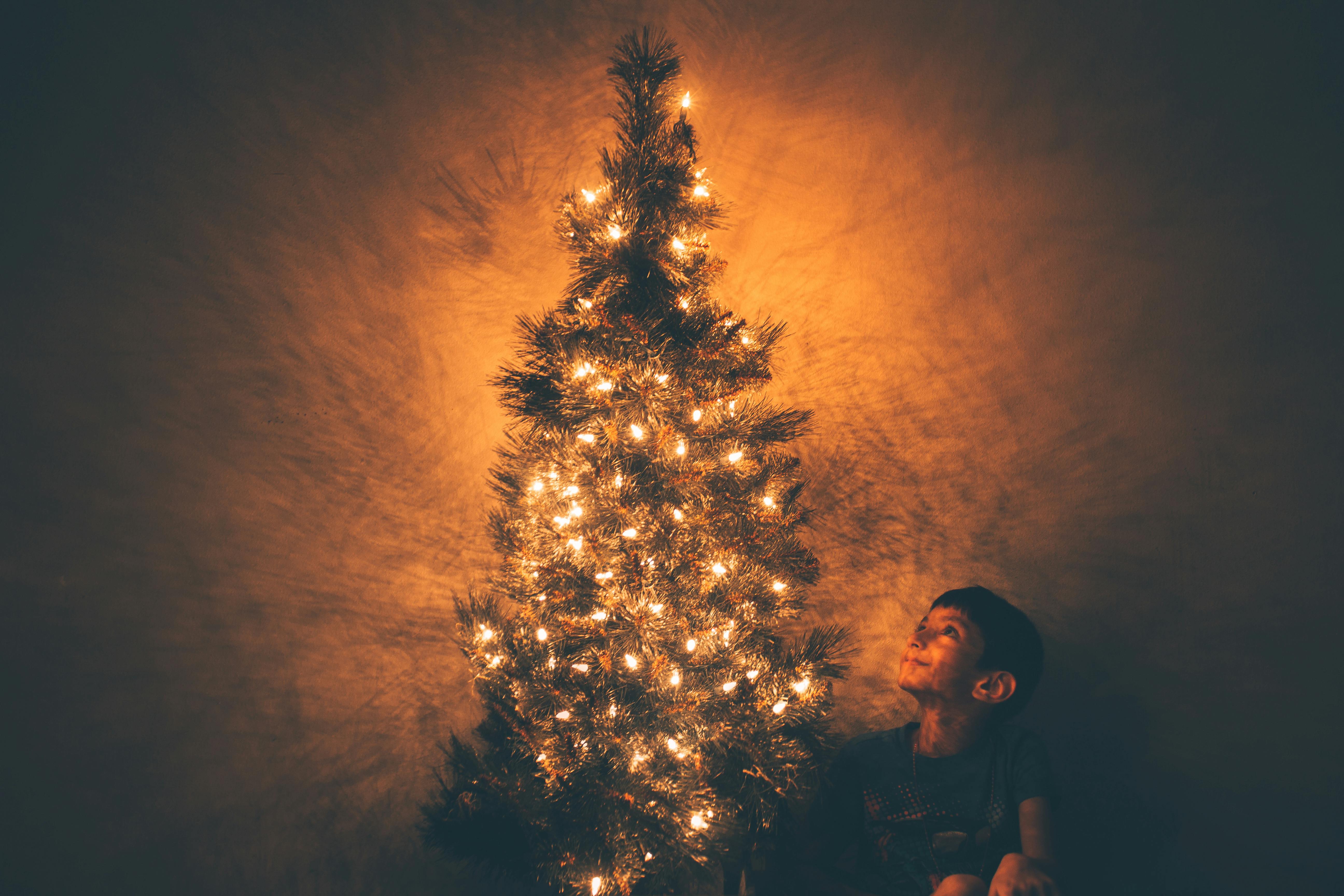 クリスマスツリーのイラストの横にある少年 無料の写真素材