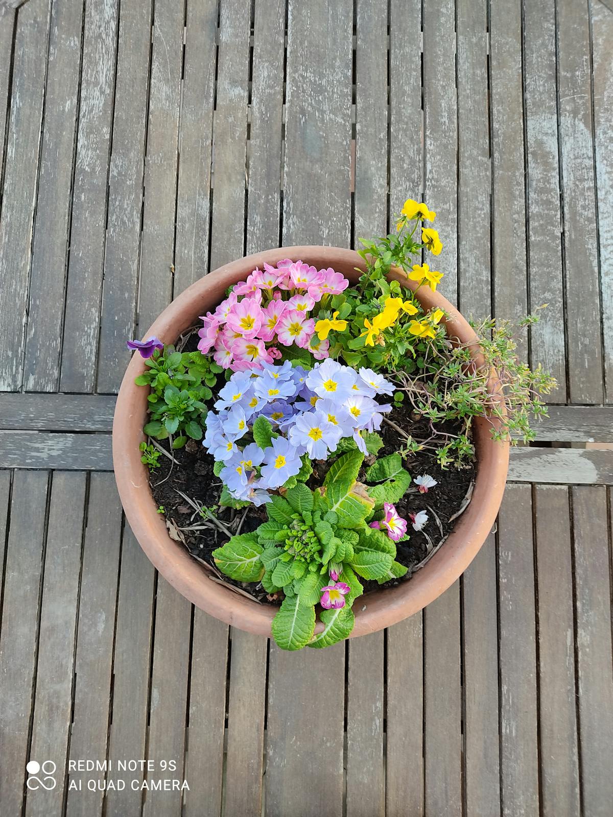 Stylized cityscape with neon colors reminiscent of anime and K-pop aesthetics