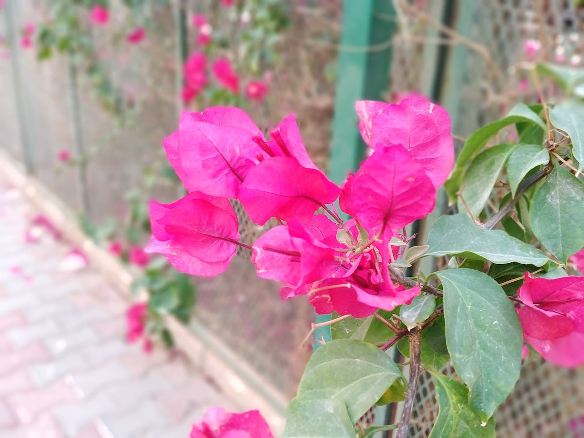 Silhouetted couple arguing in a dramatic landscape