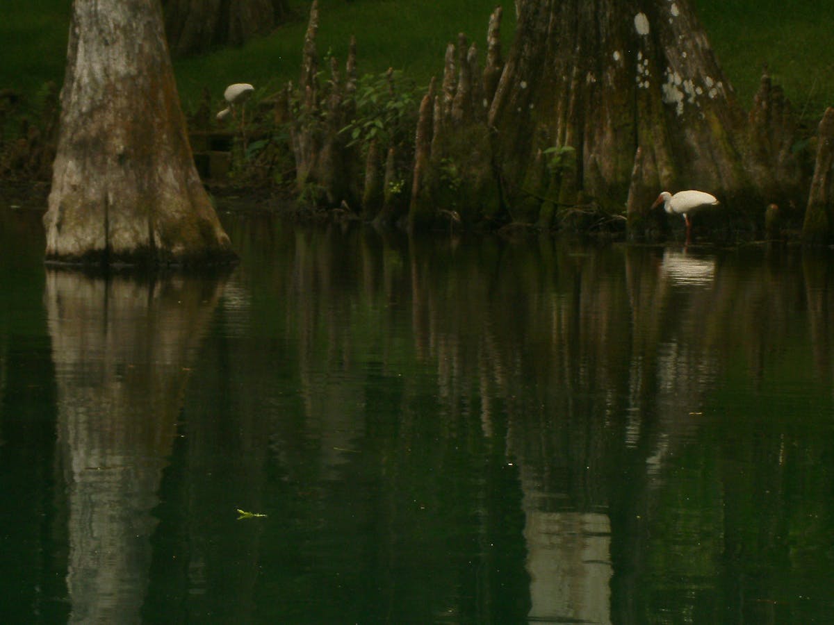 Backstage crew working behind theater curtains