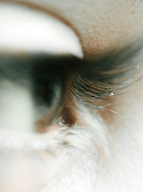 Free Close-Up of an Eye  Stock Photo