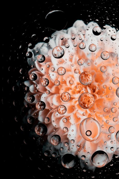 Free Photograph of Bubbles Near a Flower Stock Photo