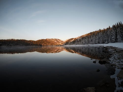 Free Reflection of Mountain and Trees on Body of Water Stock Photo