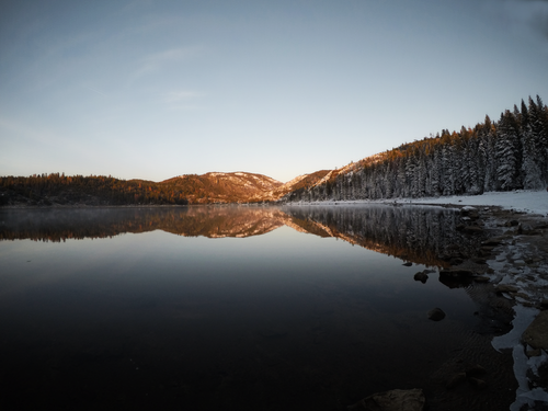 Free Peaceful winter lake reflecting snow-covered trees at sunrise. Stock Photo