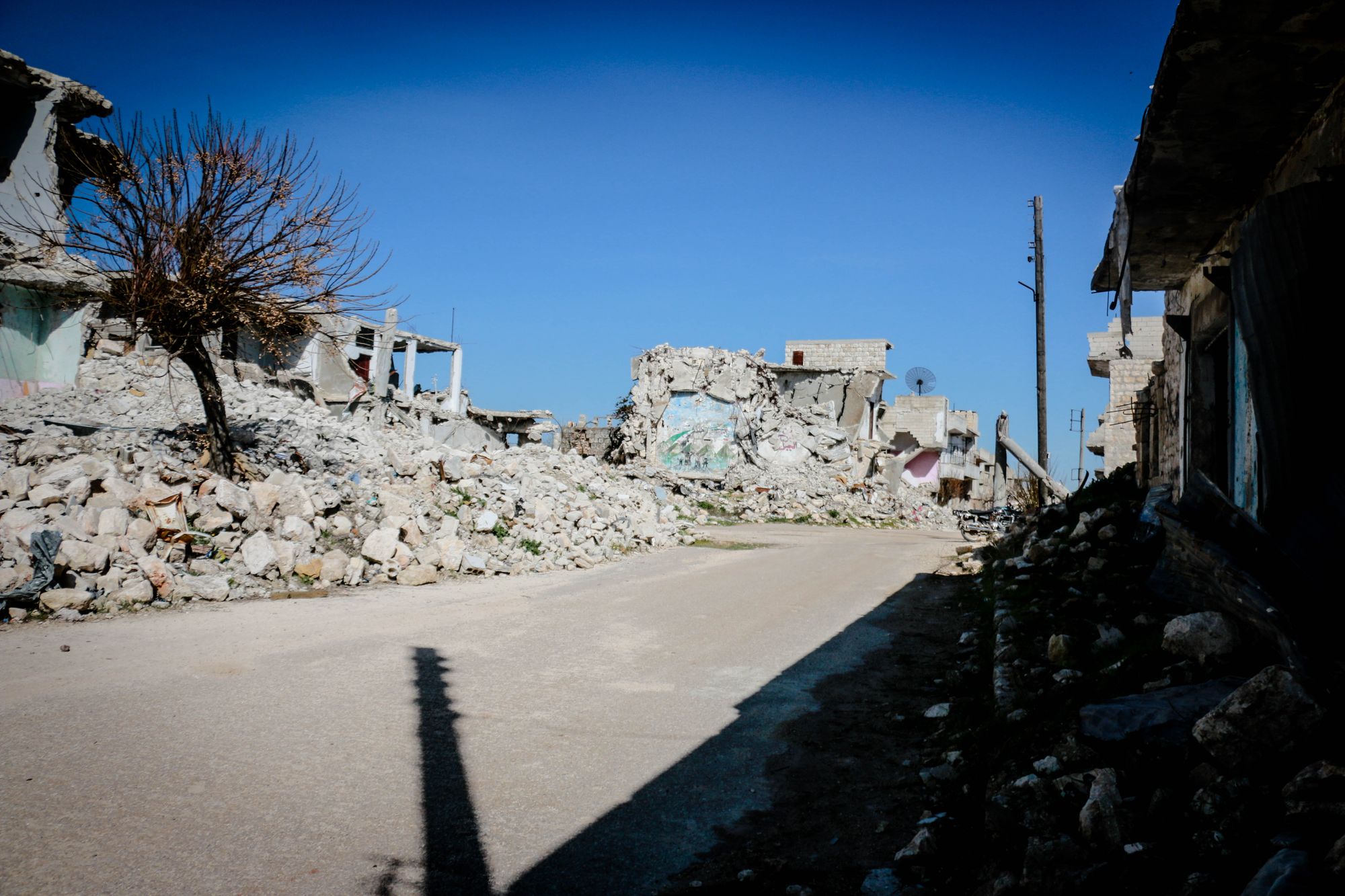 Latakia