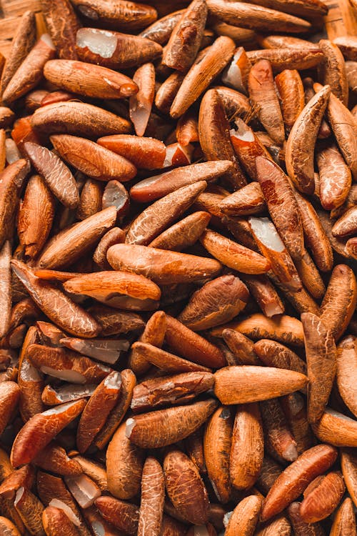 Foto profissional grátis de abundância, alimento, castanho