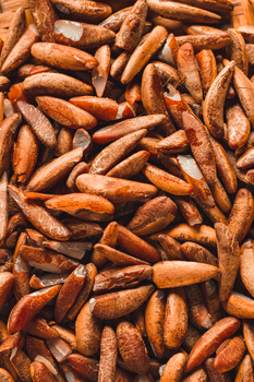 Natural Natural Activated Pili Nuts