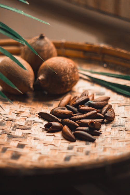 Close-Up Photo of Pine Nuts