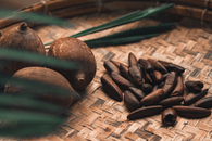 Free stock photo of azeite, babaçu, bamboo