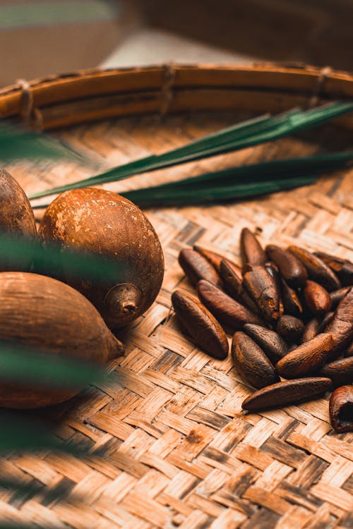 Photo of Pine Nuts Near Coconuts