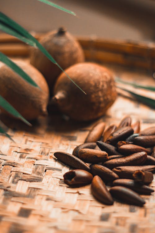 Pine Nuts in Close-Up Photography